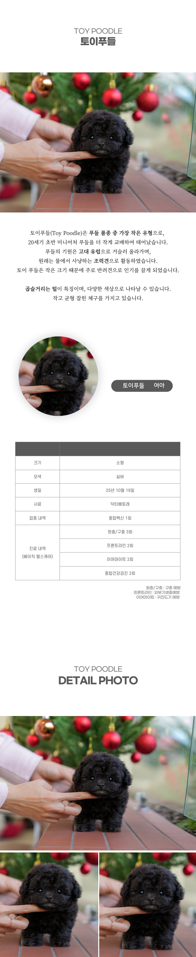 토이푸들_상세이미지_2